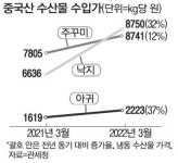 中코로나 봉쇄에…낙지 명태 재첩식당 수산물 대란