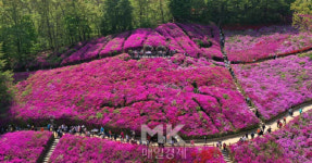 [포토] 군포 철쭉동산 나들이