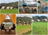 참외 말고 더 있다! 폐목장이 캠프닉장으로, 옛 등산로가 테마길로 변신 성주 핫플