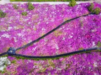  BTS가 여름 불태운 완주, 봄에 와도 좋은 이유 [여행+영상]