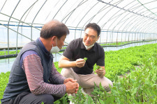 롯데마트 대표가 쌈채소 농가 직접 찾은 이유는