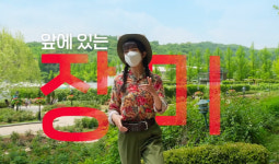 20시간만에 169만명 본 놀이공원 광고…누가 출연했길래