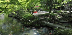 日총리 부인이 차 대접한다는데…美日 정상 만찬 장소는