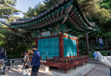 풍수학자 김두규 교수와 청와대 가보니… 북악산 기운 꿈틀대는 龍脈