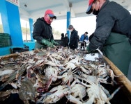 [MK 6월 2주 바다낚시] 6월에 잡지 말아야 할 물고기 7