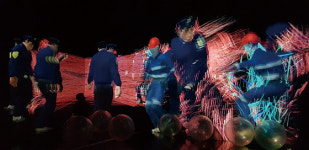 [정준모의 미술동네 톺아보기] 이건희 컬렉션부터 히토 슈타이얼까지… 만발한 초여름 꽃처럼 피어난 전시