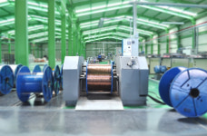 전남, 될성부른 中企에 공들여…쑥쑥 자랐네