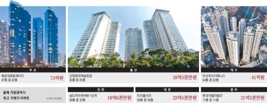 해운대 경동제이드 75억, 대전 트리풀시티 23억5천만원…"높을수록 비싸게 쳐주네"