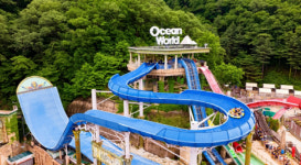 소노인터내셔널, 20일 워터파크 오션월드 네이버 쇼핑라이브 방영