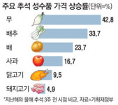 추석민심 달래려…농산물 비축물량 풀고 650억 할인쿠폰 지급
