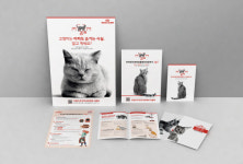 병원서도 반려묘 스트레스 걱정 끝…고양이 친화 동물병원 가보니 [Oh My Pet]