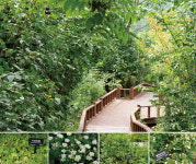 꼼꼼히 볼수록 황홀하다...식물원 여행, 국립한국자생식물원