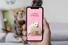 Korea’s top online pet shop Pet Friends eye profit as sales and GMV grow 50%
