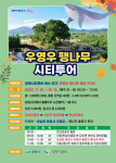 창원시티투어버스 타고 우영우 팽나무 보러가자