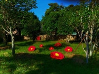 보길도, ‘풍류를 플레이하다’ 청정완도 가을섬 여행 행사 개최