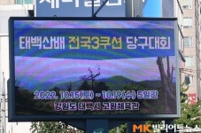 “15일부터 태백산배당구대회 열립니다” 서울 주요 도로에 홍보영상