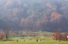 할인마트서 산 공으로 하루 두번 홀인원, 1억6200만분의 1 확률