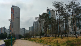 금리 쌀땐 안 쳐다보더니…과천서 완판행진하는 이 주택