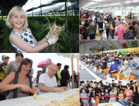 금산인삼축제, 세계적 건강 축제로 발돋움한다