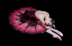 배우 박정자·발레리나 김지영 예술, NFT로 탄생