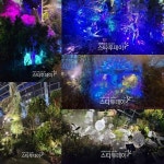 13년 만에 돌아온 ‘아바타’, 미리 만나본 나비족[MK현장]