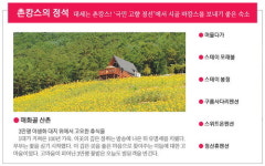 [정선 웰니스 숙소] 높고 푸른 산, 반짝이는 별 아래서 온전한 휴식을 …