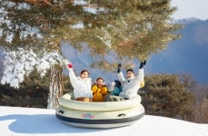 소노인터내셔널, ‘썰매 테마파크’ 비발디파크 스노위랜드 개장