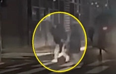 “너무 느려 마치 서 있는 듯”…횡단보도 노인 목격男이 한 행동