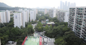 “믿었던 너마저” 개포주공 9억 급락…강남 핵심권도 속수무책