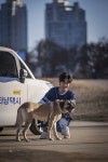 멍타냥택시, 유기견 돌봄 위해 모델 선발 등 후원 기부