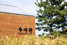 추울 때 더 매력적인 제주...“이런 여행거리가 있었어?”