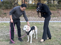 반려견 플랫폼 포동… LG유플러스거였어?