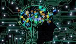 세면대 작은 물소리에도 벌떡...잠귀 밝은 사람, 이유 있었네