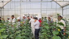 중동서 꽃핀 스마트팜 온실 … 맞춤수출지원 통했죠