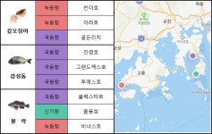 [MK 3월 2주 바다낚시] 봄바람 살랑이는 3월, 도다리는 진짜 봄철생선 맞을까