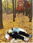 “아빠랑 숲멍 하러 갈래?”...서울시 유아숲체험원 77개소 개장