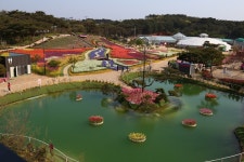 4년을 기다렸다…모든 이의 취향 저격할 2023 봄꽃 명소