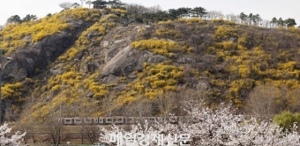 일교차 큰 하루…서울 낮 최고 19도