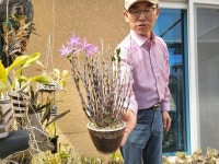 마을 곳곳이 정원…봄향기 가득한 순천 저전마을 가보니