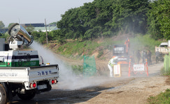 Korea has first foot-and-mouth disease in over 4 years at two cattle farms