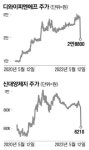 불개미 또 폭락주 하따… 신대양제지 거래량 3800배 폭증