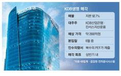 [레이더M] '매각 5수' KDB생명, 내달 본입찰