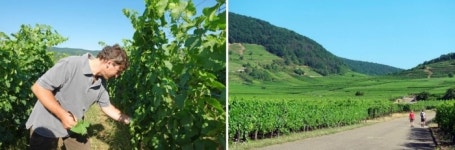 십년째 세계 곳곳 와이너리 찾아다니는 여행작가가 꼽은 한곳 [여행人터뷰]