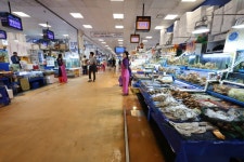 日 “오염수 방류 후 첫 물고기 검사···삼중수소 안나와”