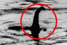 “이번엔 정말 발견될까”…목격담 1100건, ‘네스호 괴물’ 탐사대 출격