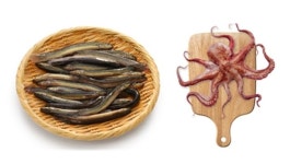 [MK 9월 1주 바다낚시] ‘가을의 시작’ 9월에 꼭 맛봐야 할 해산물 2