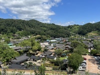 ‘부부 나무’ 있는 이 마을, 우리나라서 가장 아름다운 마을된 사연