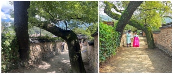 ‘부부 나무’ 있는 이 마을, 우리나라서 가장 아름다운 마을된 사연