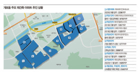 20년 만에 물꼬 튼 개포 주공단지 재건축 대치·도곡 연계 강점…대중교통망은 취약