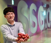 붉은 샤인머스캣 마이하트 완판 1년에 한달 맛봐 명품과일로 인기 [MD의 추천]